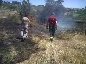 Arriva l’estate, in campo una task force